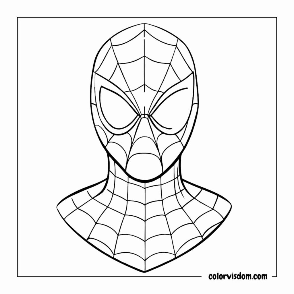 Spiderman's Mask with Patterns