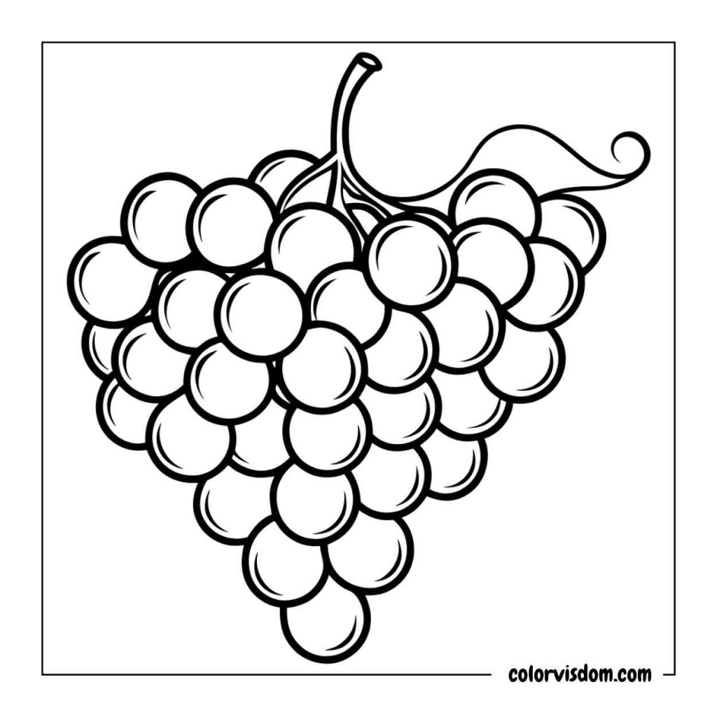 A Cluster of Grapes