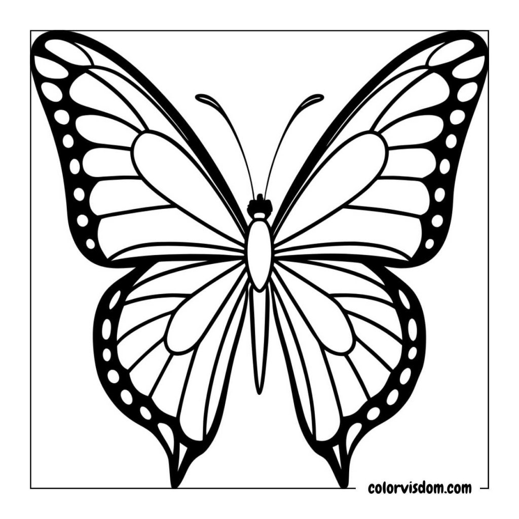 Monarch Butterfly Outline
