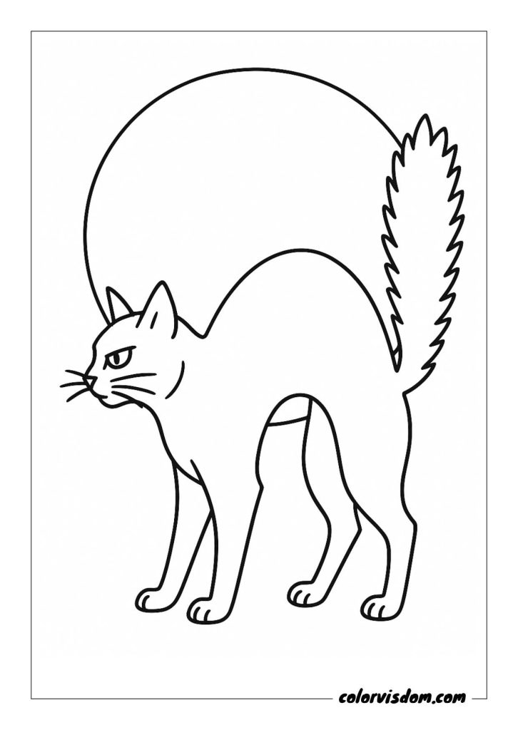 Staring Shadows- Black Cat Silhouette Against the Full Moon