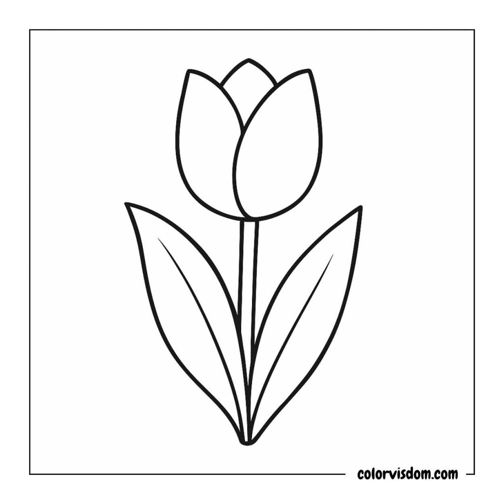 Simple Tulip Design